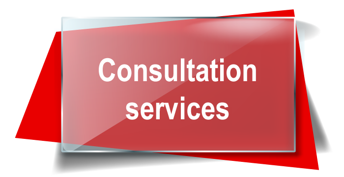 Consultation Services